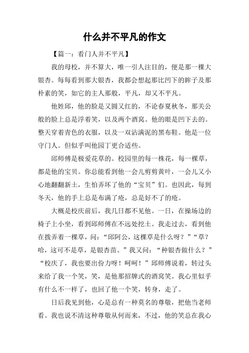 什么并不平凡的作文