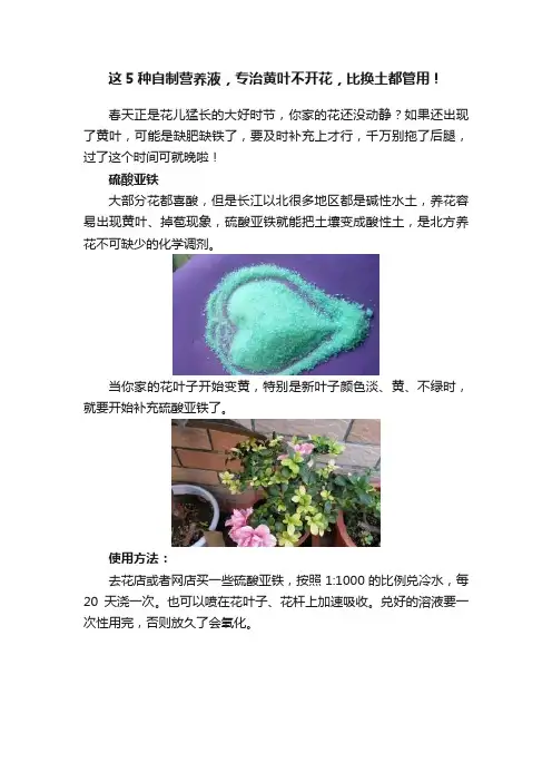这5种自制营养液，专治黄叶不开花，比换土都管用！