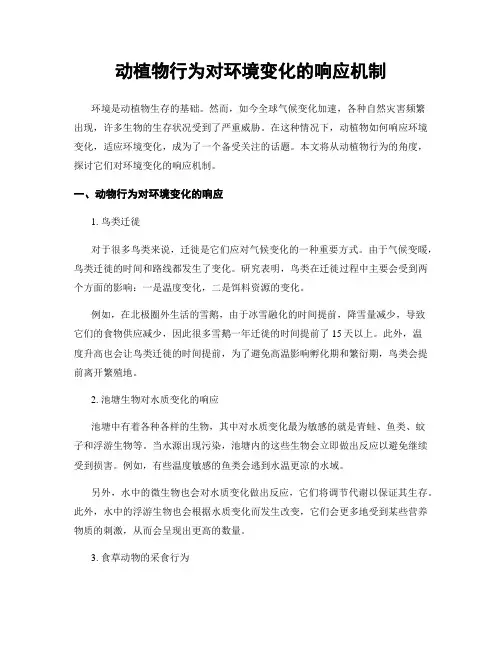 动植物行为对环境变化的响应机制