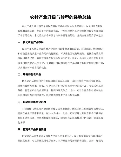 农村产业升级与转型的经验总结