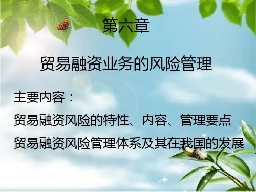 贸易融资业务的风险管理幻灯片PPT