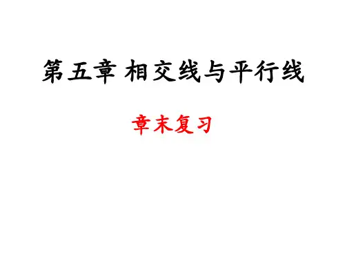 人教版七年级数学下册  第五章相交线与平行线单元复习 (共44张ppt)