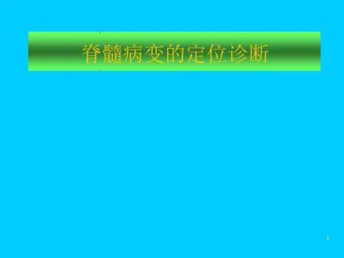 脊髓病变的定位诊断课件
