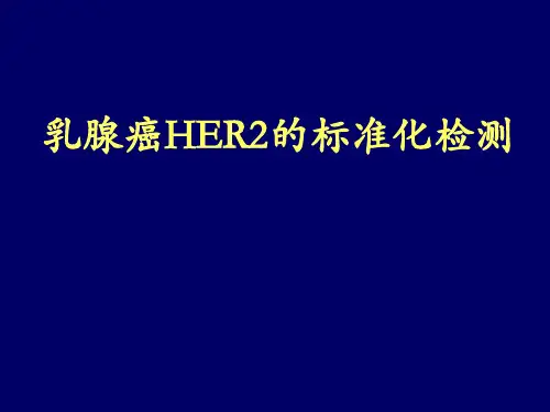 HER2的标准化检测