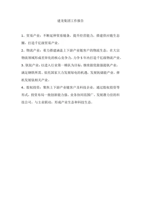 建龙集团工作报告