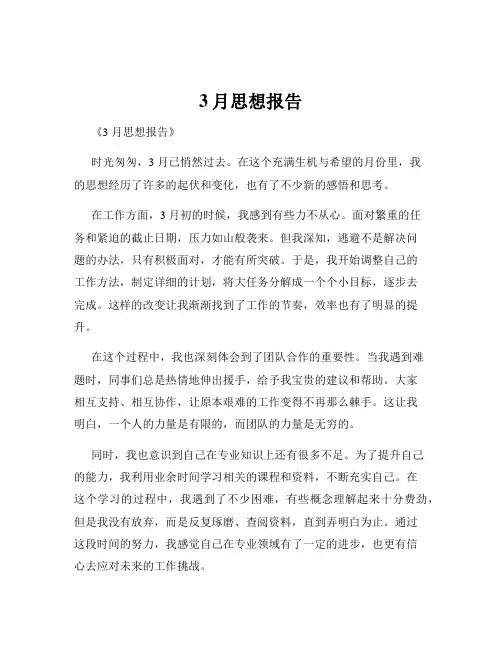 3月思想报告