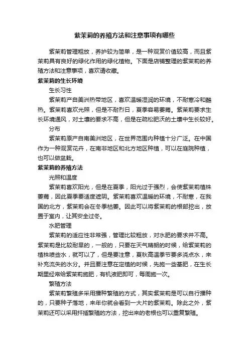 紫茉莉的养殖方法和注意事项有哪些