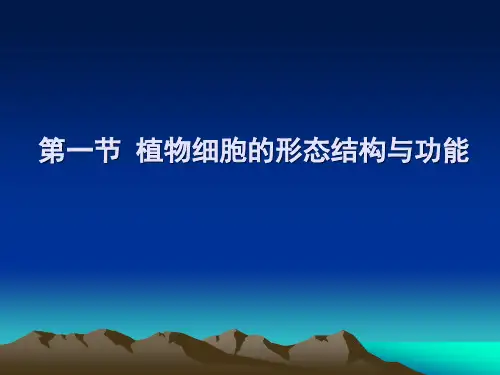 第一节植物细胞的形态结构与功能XSY