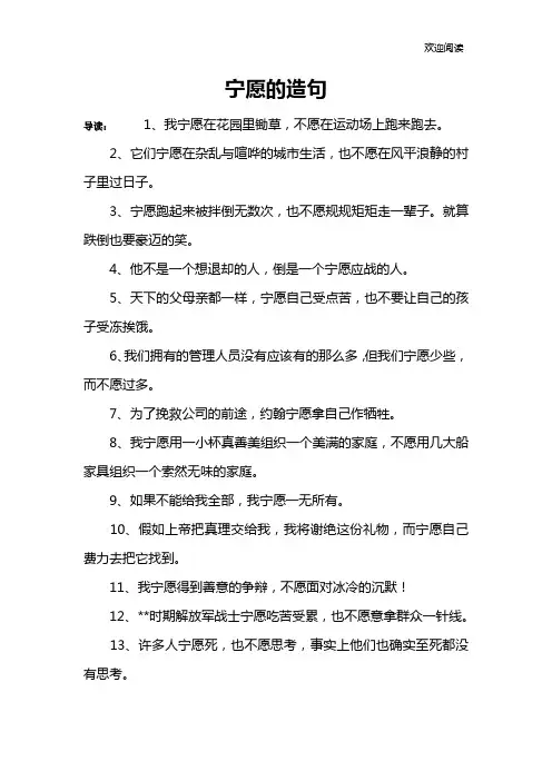 宁愿的造句