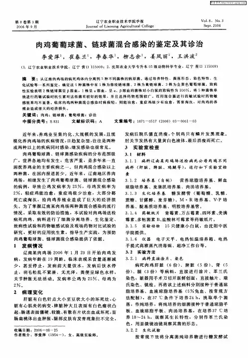 肉鸡葡萄球菌、链球菌混合感染的鉴定及其诊治