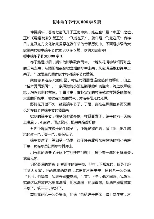 初中端午节作文800字5篇