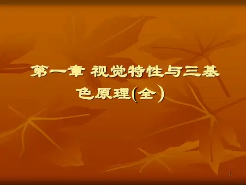 视觉特性与三基色原理全ppt课件
