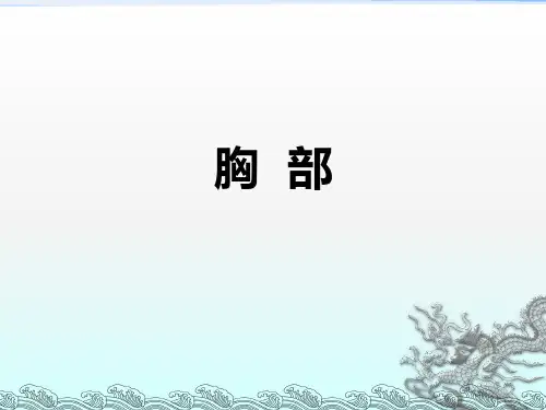 03胸部1-胸壁