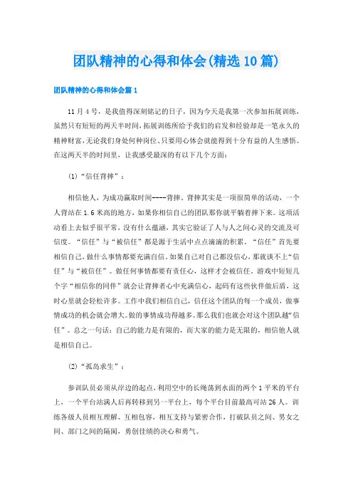 团队精神的心得和体会(精选10篇)