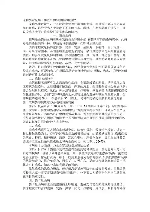 宠物猫常见病有哪些？如何预防和治疗？