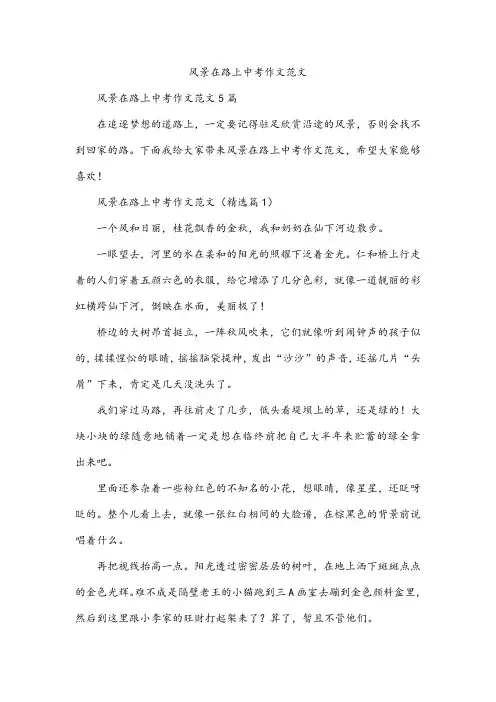 风景在路上中考作文范文