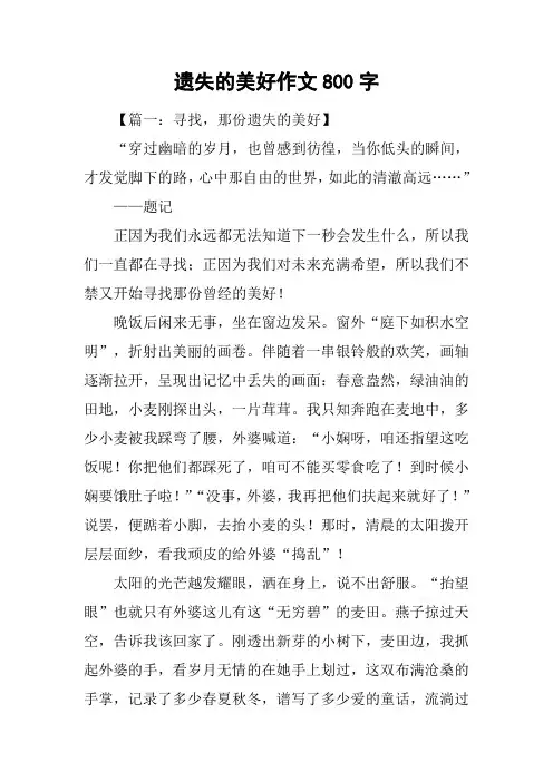 遗失的美好作文800字