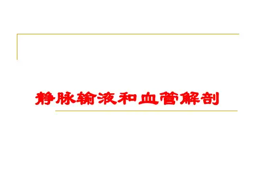 静脉输液和血管解剖培训课件