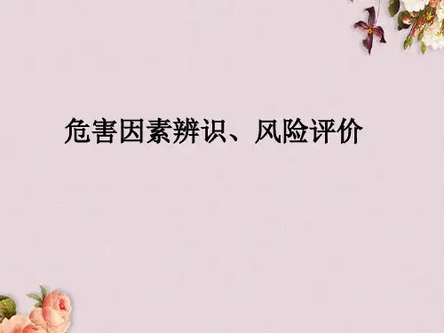 危害因素辨识风险评价(PPT 32页)