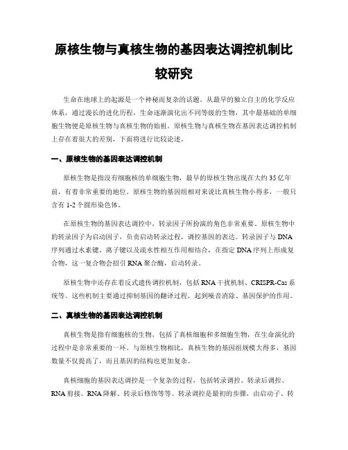 原核生物与真核生物的基因表达调控机制比较研究