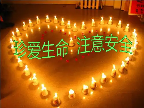 珍爱生命注意安全PPT课件