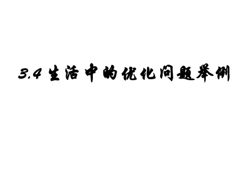 优化问题.ppt