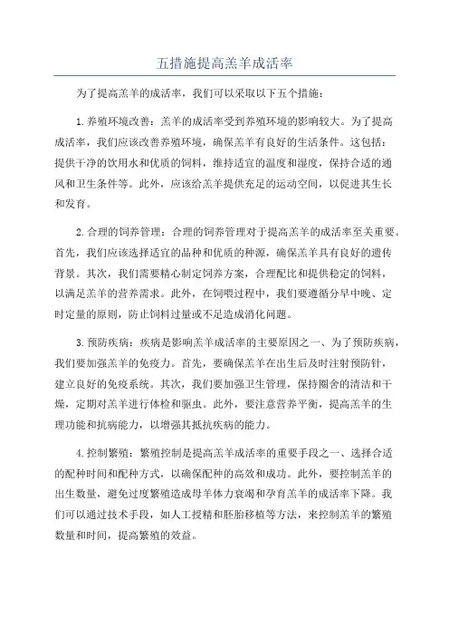 五措施提高羔羊成活率