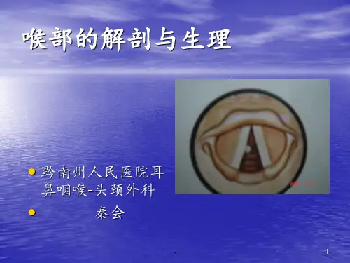 喉部的应用解剖及生理ppt课件