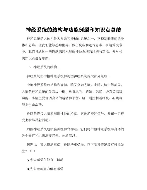 神经系统的结构与功能例题和知识点总结