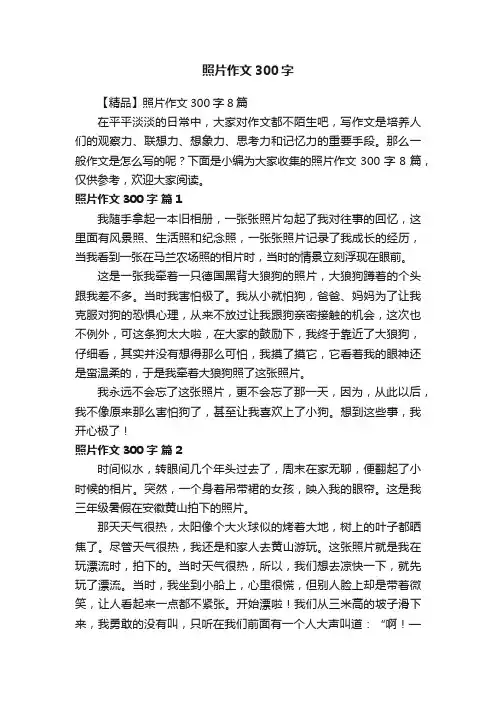 【精品】照片作文300字8篇