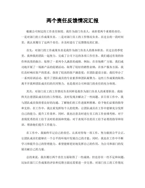 两个责任反馈情况汇报