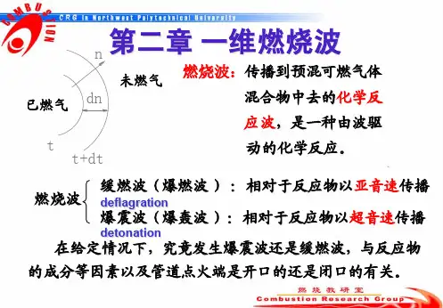 西工大燃烧学课件