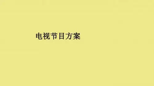 电视节目方案ppt课件