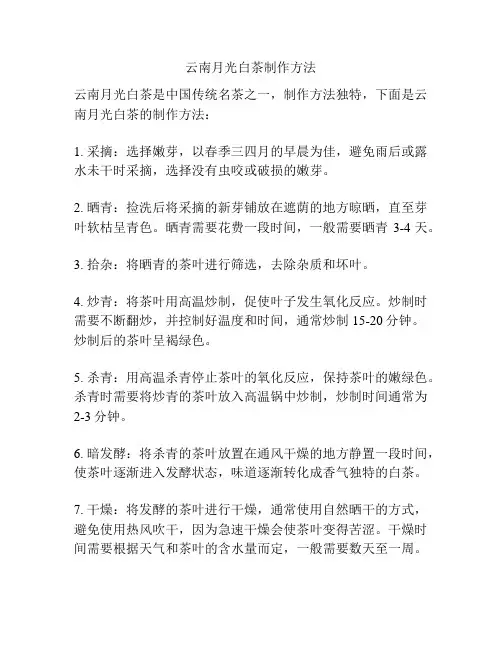 云南月光白茶制作方法