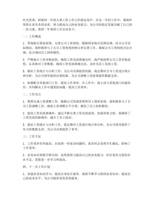 人事工资工作总结个人