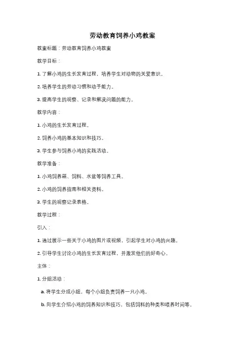 劳动教育饲养小鸡教案