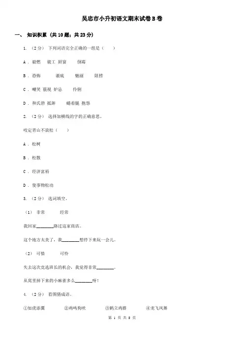 吴忠市小升初语文期末试卷B卷