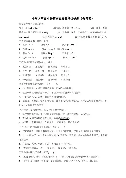 小学六年级小升初语文质量培优试题(含答案)[001]