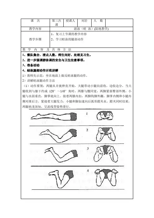 蛙泳腿教案