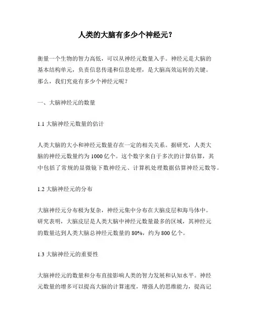 人类的大脑有多少个神经元？