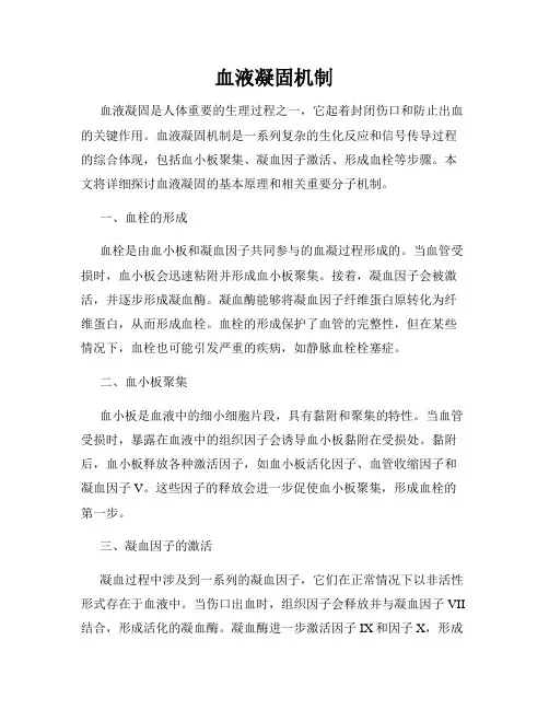 血液凝固机制
