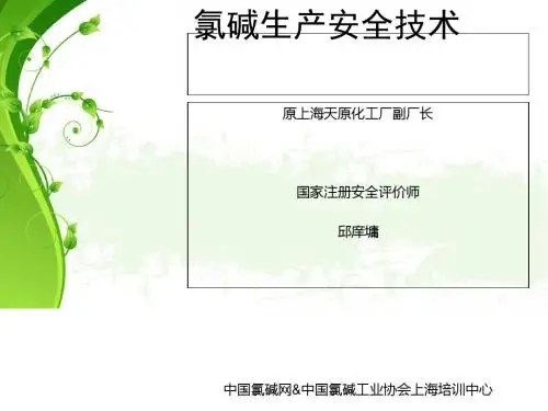 氯碱生产安全技术教材(PPT 75张)