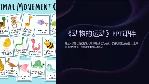 《动物的运动》课件