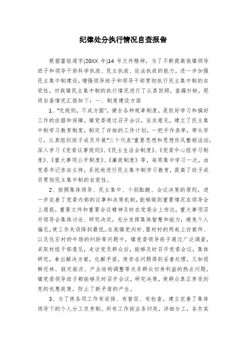 纪律处分执行情况自查报告