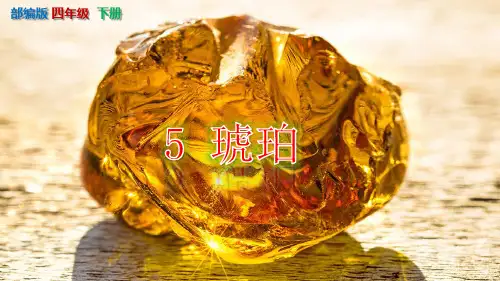 统编版《琥珀》PPT课件-四年级下册第5课