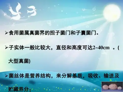 食用菌学基础课件