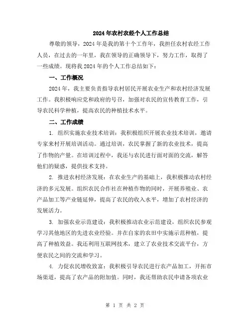 2024年农村农经个人工作总结