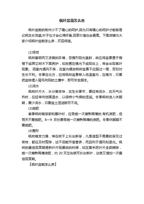 枫叶盆栽怎么养