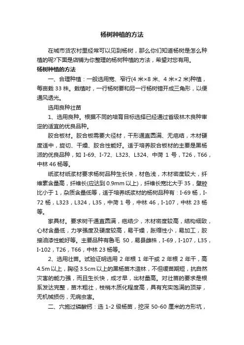 杨树种植的方法