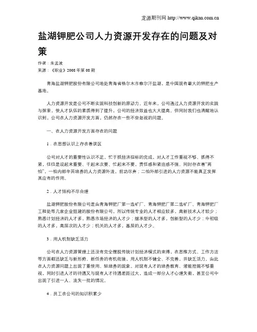 盐湖钾肥公司人力资源开发存在的问题及对策